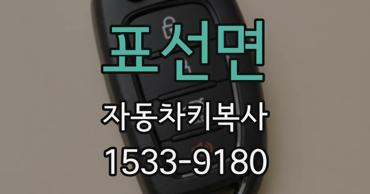 표선면 자동차키복사
