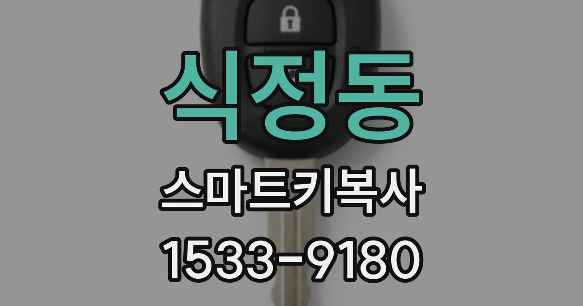 식정동 스마트키복사