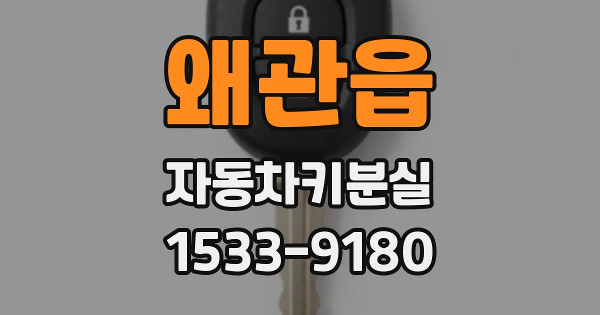 왜관읍 자동차키분실