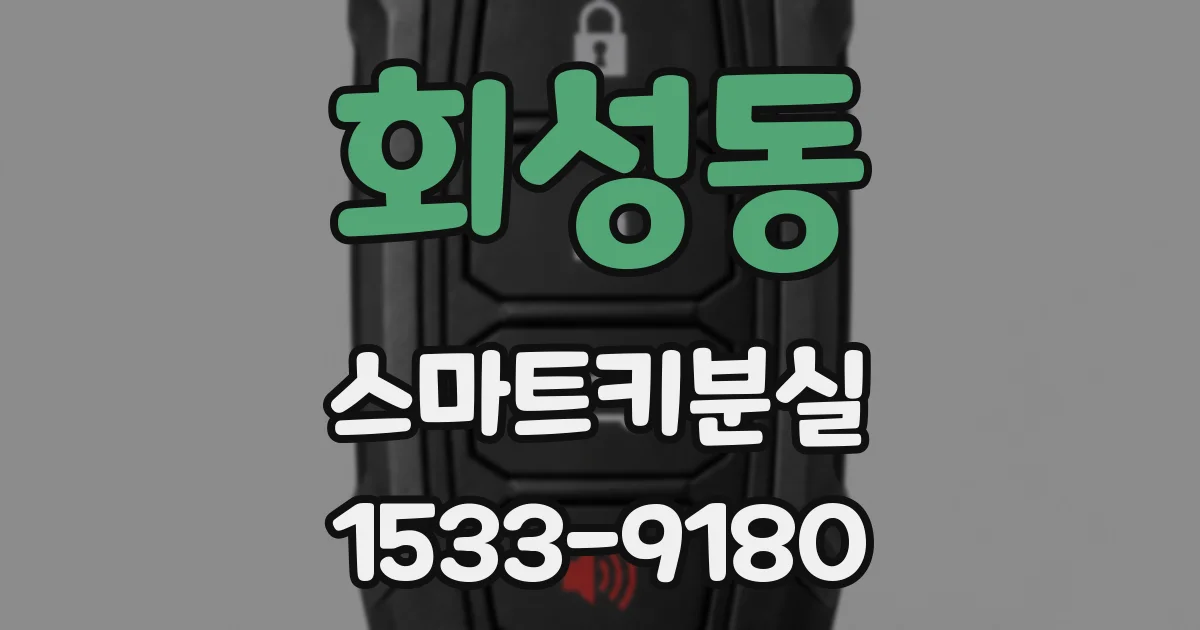 회성동 스마트키분실