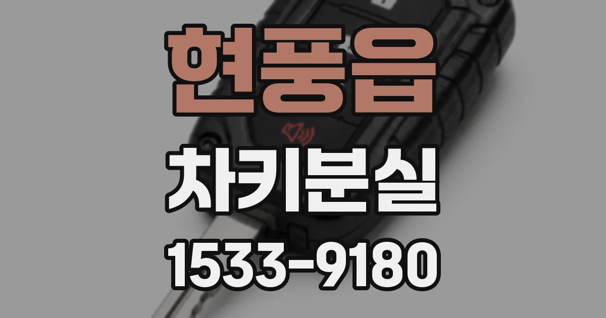 현풍읍 차키분실
