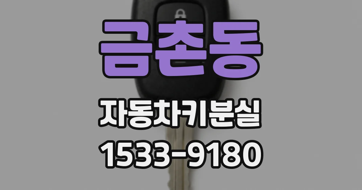 금촌동 자동차키분실