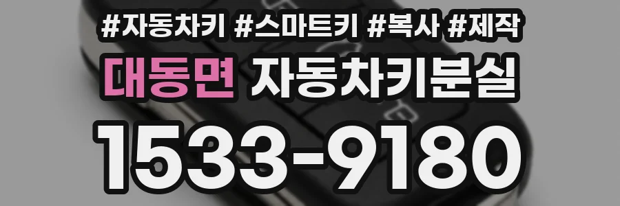 대동면 자동차키분실