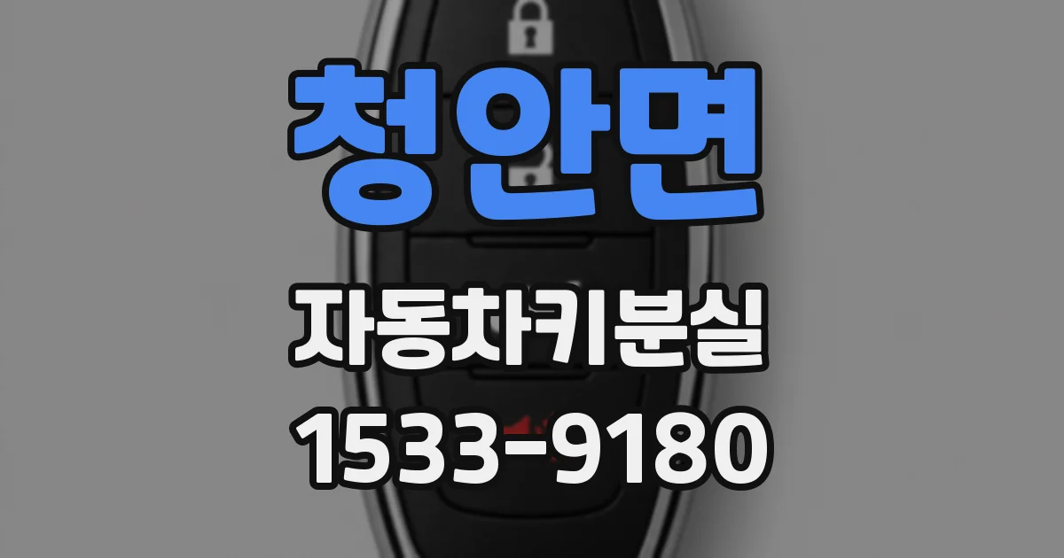 청안면 자동차키분실
