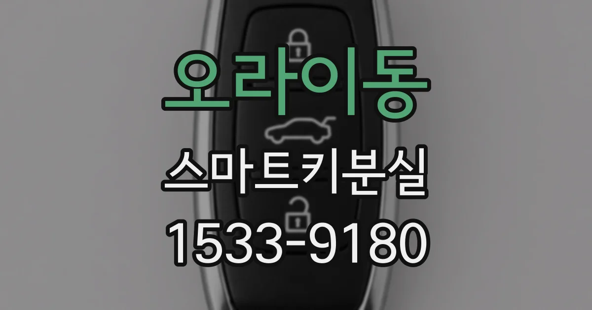 오라이동 스마트키분실