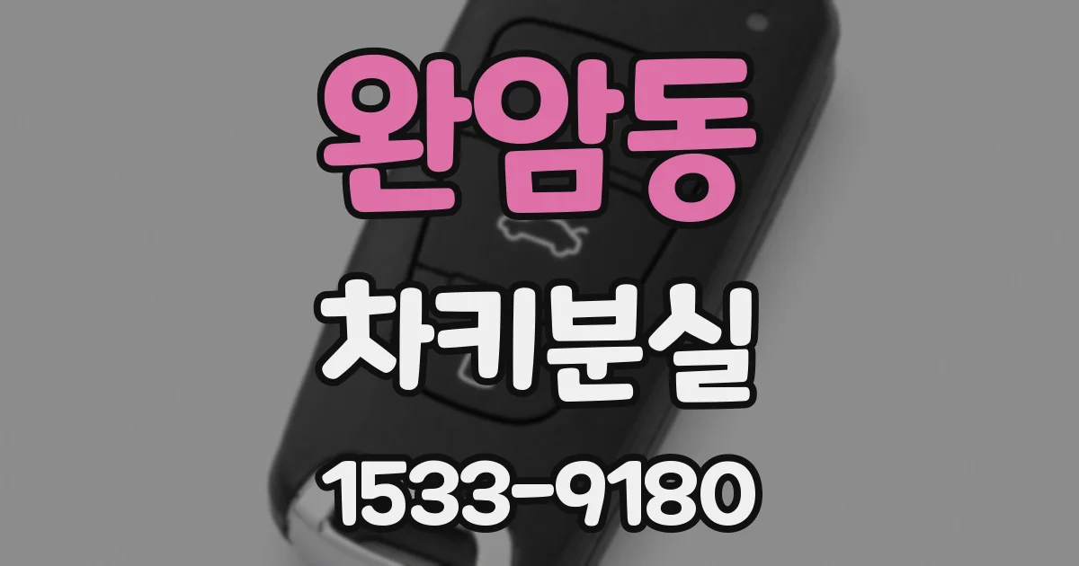 완암동 차키분실