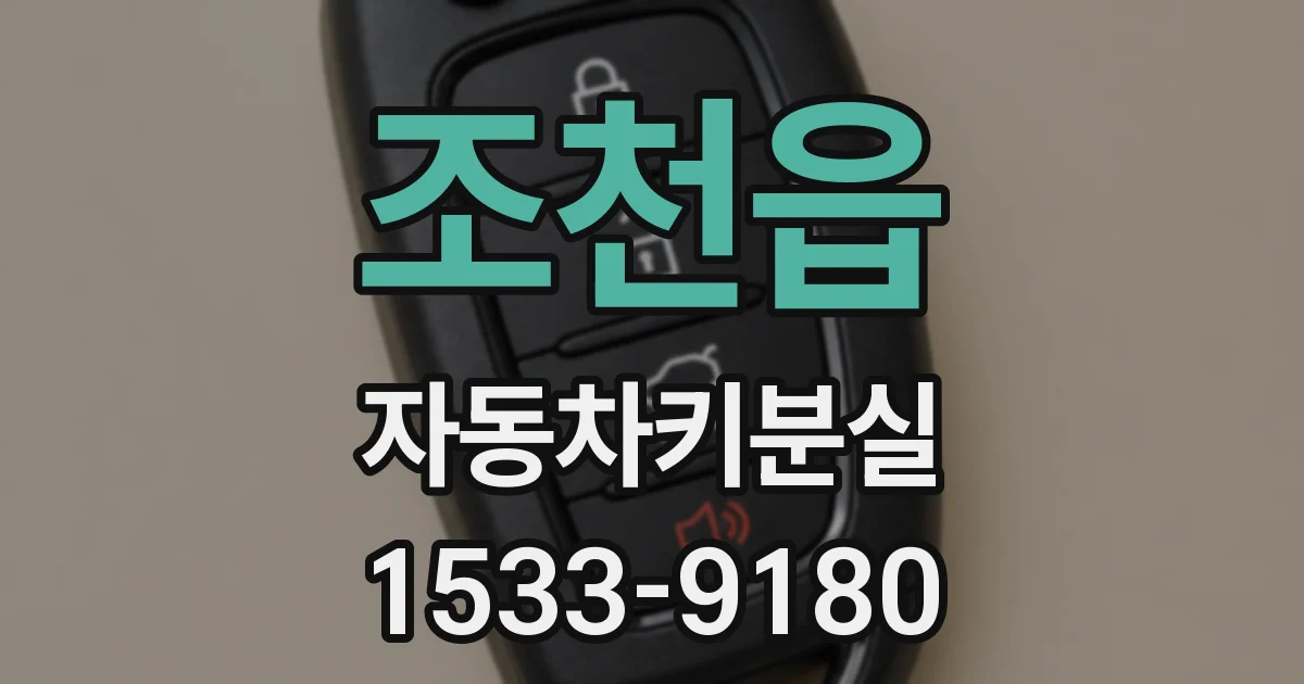 조천읍 자동차키분실