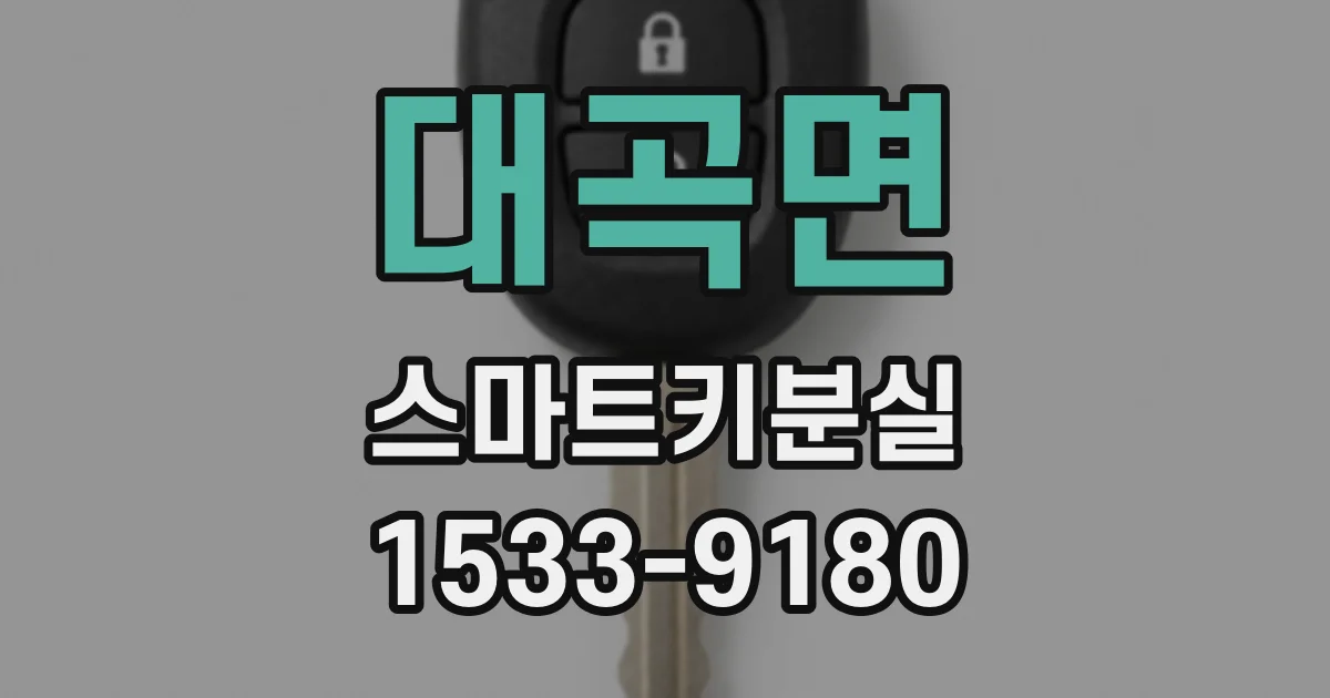 대곡면 스마트키분실