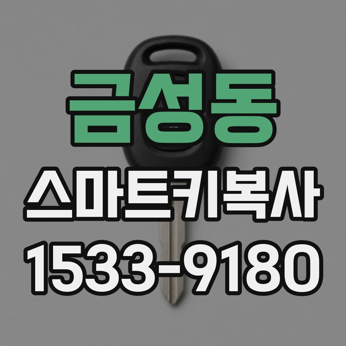 금성동 스마트키복사