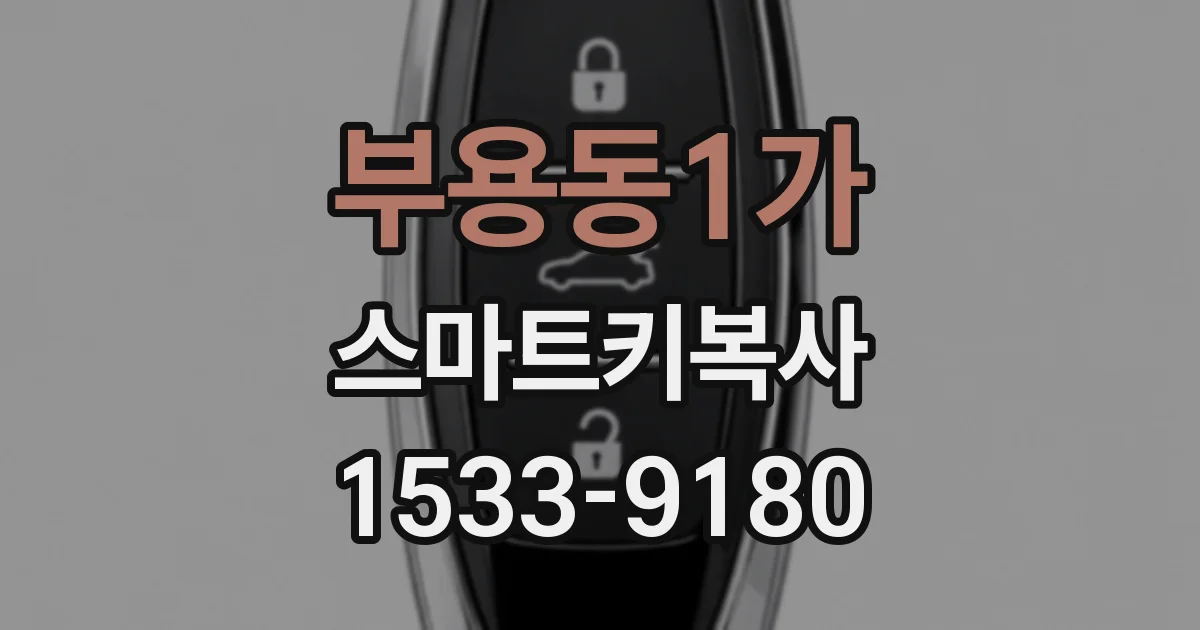 부용동1가 스마트키복사
