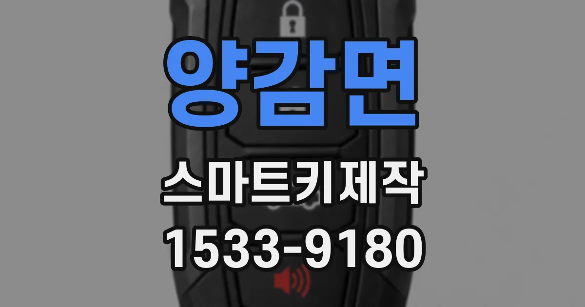 양감면 스마트키제작