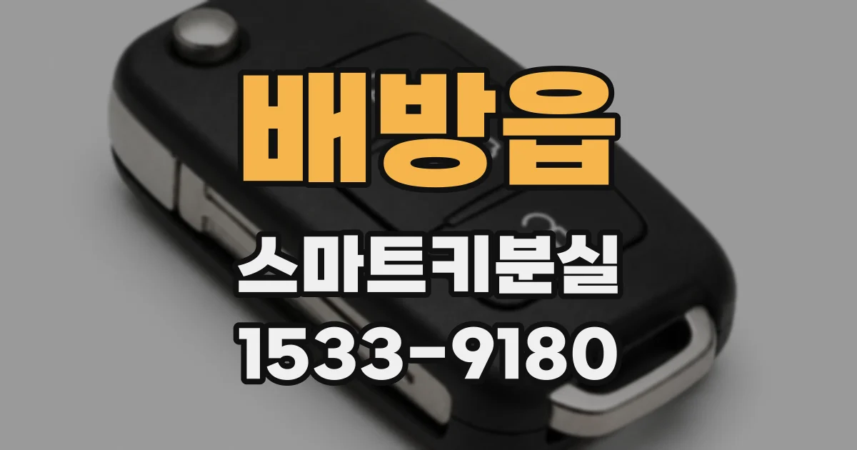 배방읍 스마트키분실