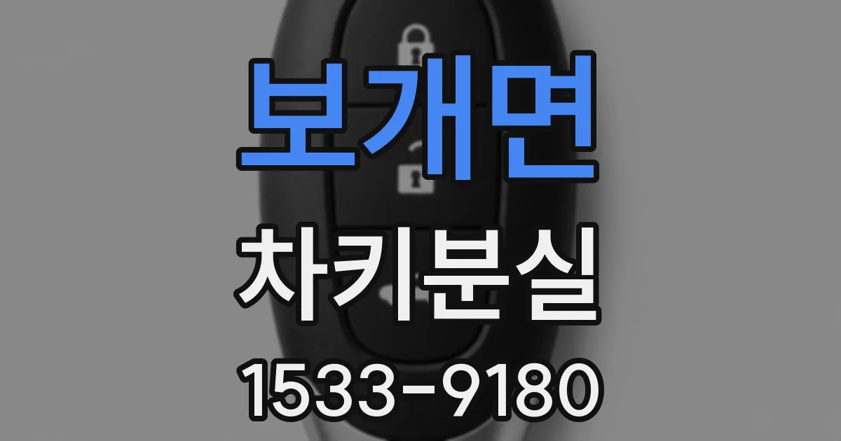 보개면 차키분실