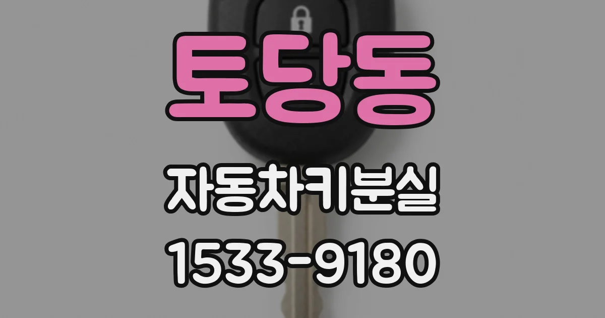 토당동 자동차키분실