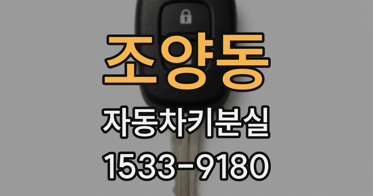 조양동 자동차키분실