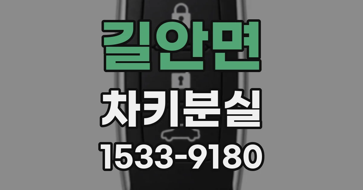 길안면 차키분실
