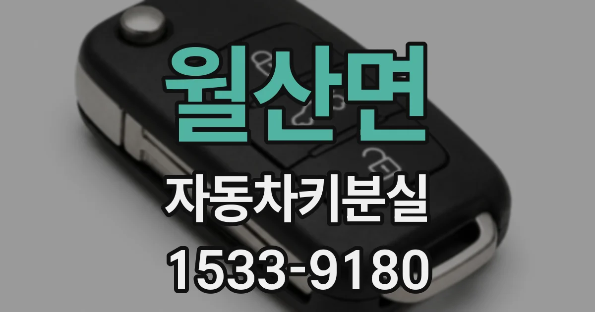 월산면 자동차키분실