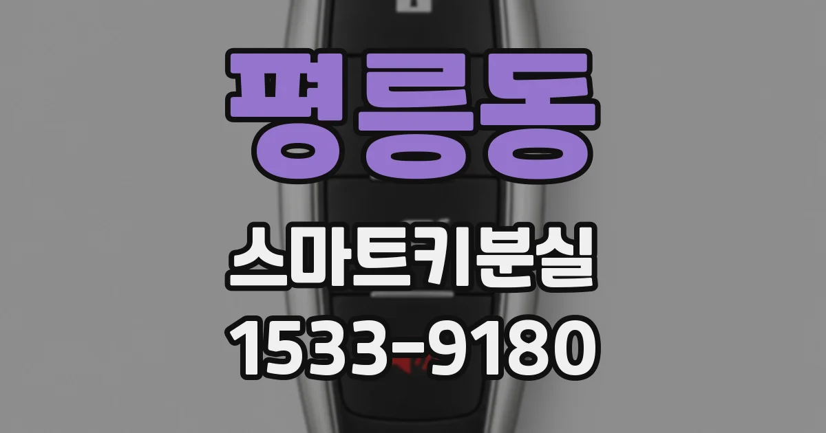 평릉동 스마트키분실
