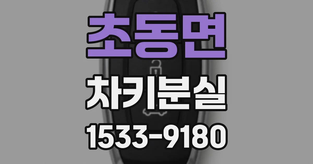 초동면 차키분실