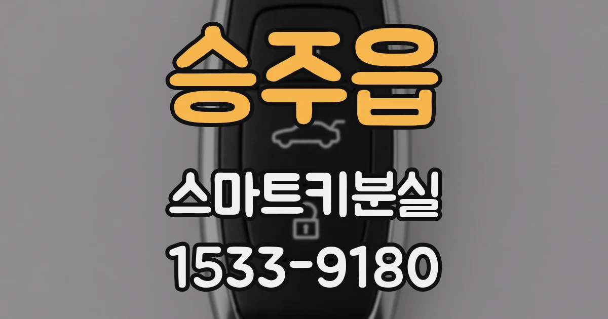 승주읍 스마트키분실
