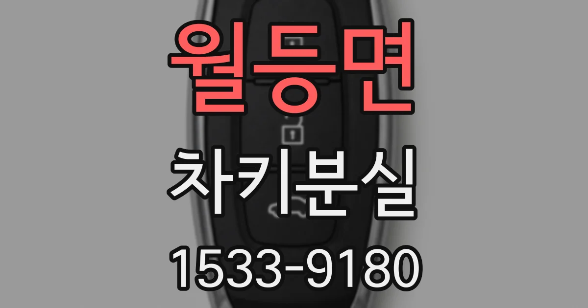월등면 차키분실
