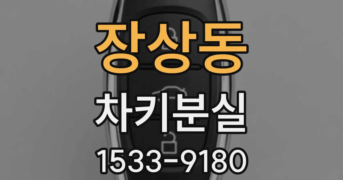 장상동 차키분실