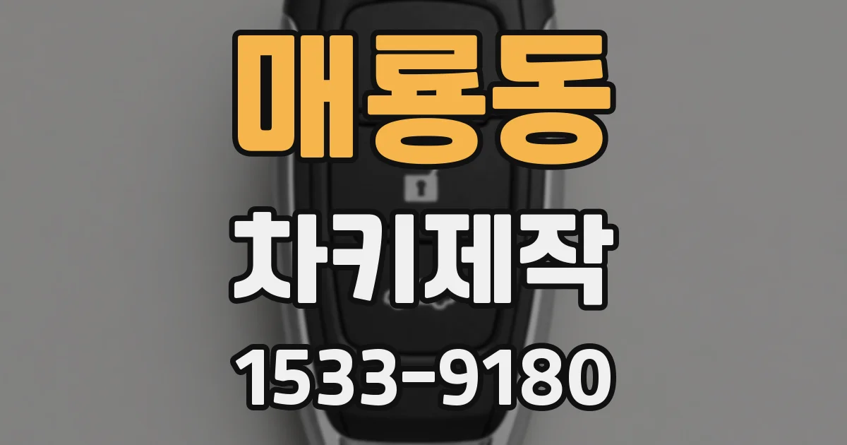 매룡동 차키제작