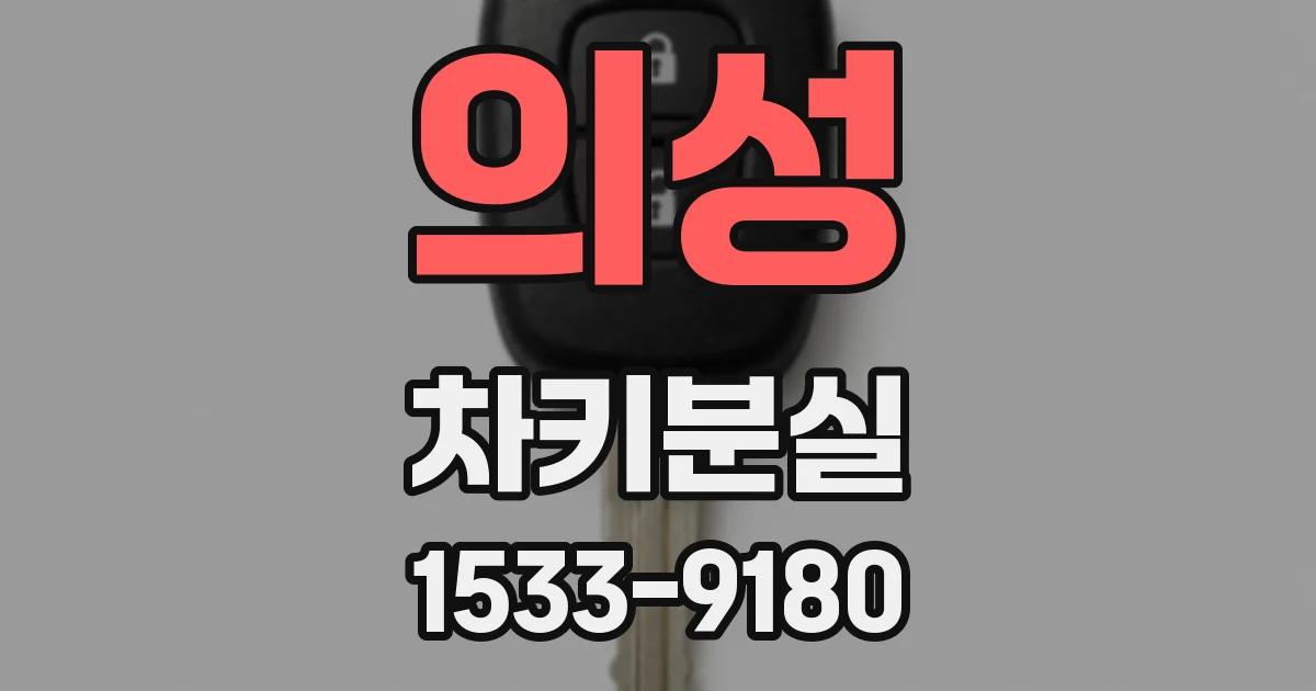 의성 차키분실