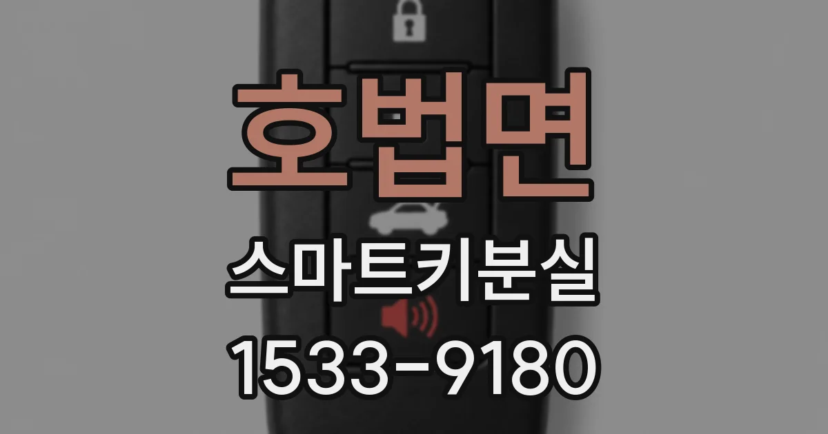 호법면 스마트키분실