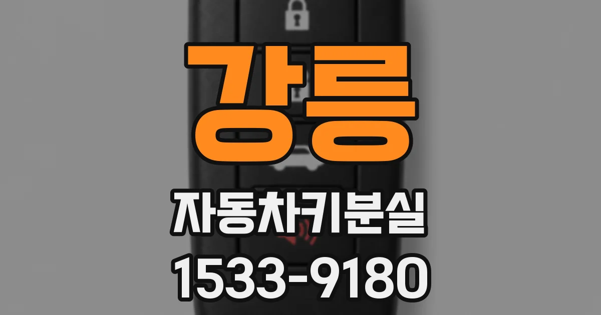 강릉 자동차키분실