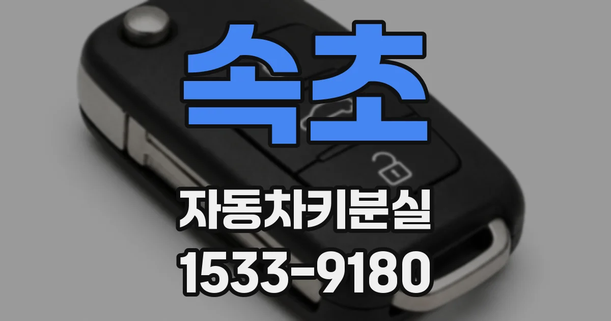 속초 자동차키분실