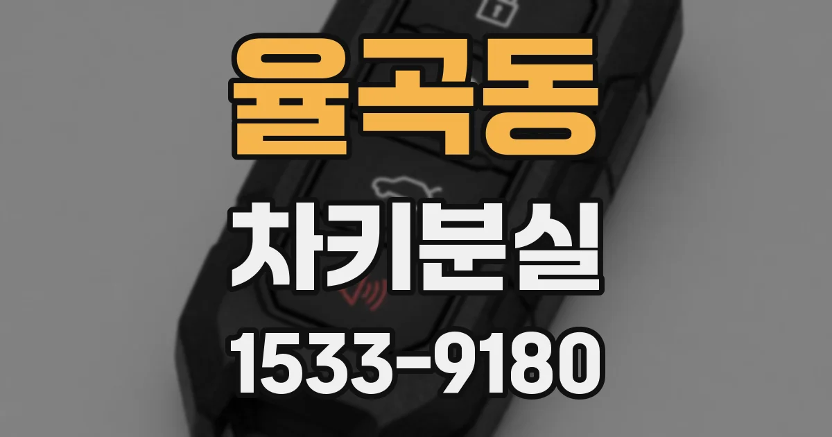 율곡동 차키분실