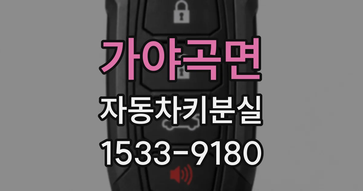 가야곡면 자동차키분실