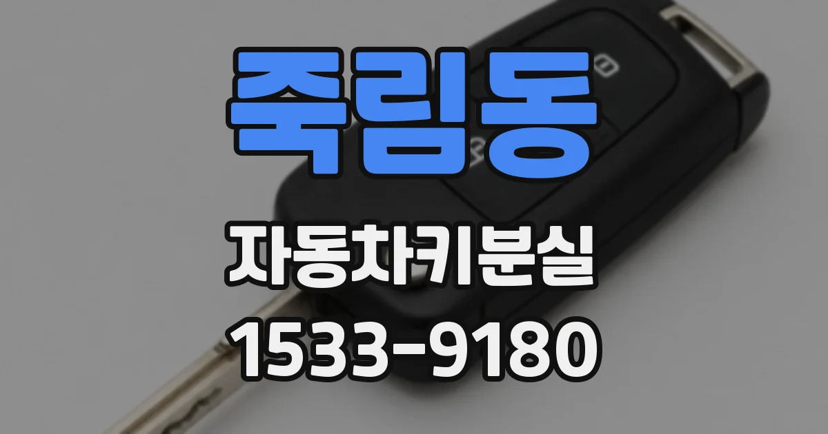 죽림동 자동차키분실