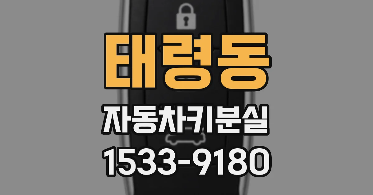 태령동 자동차키분실