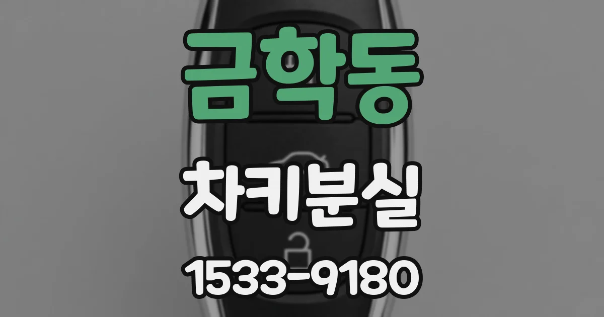 금학동 차키분실