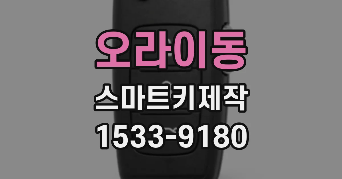 오라이동 스마트키제작