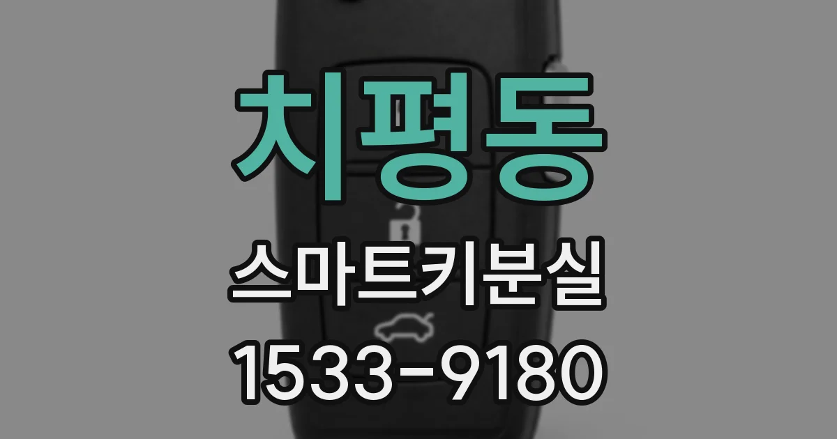 치평동 스마트키분실