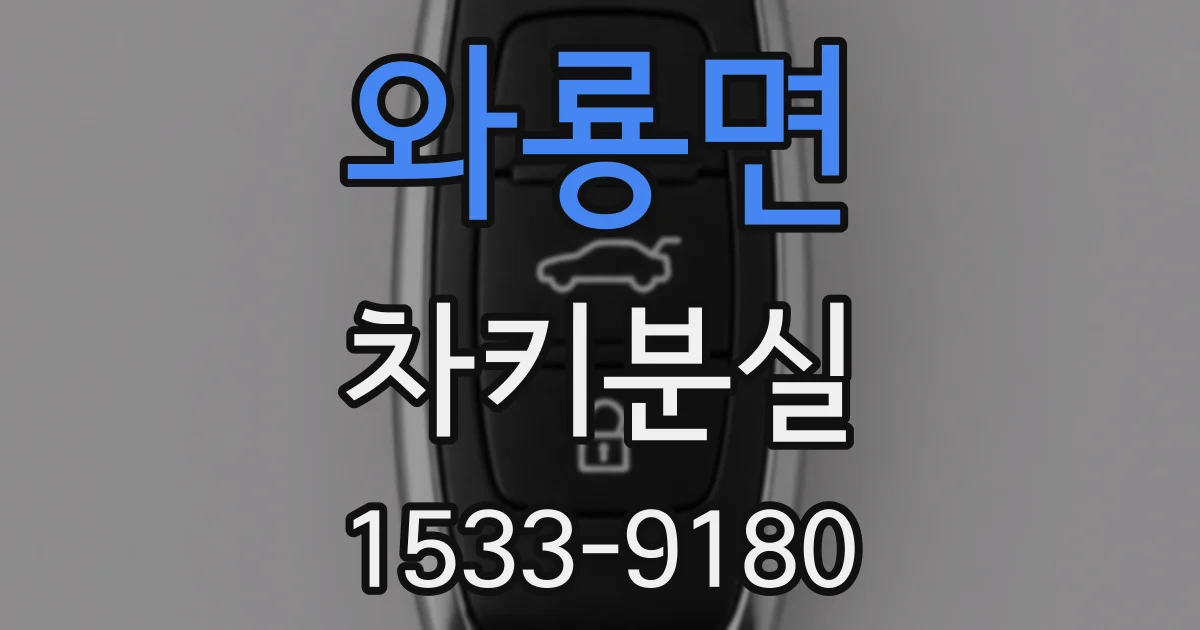 와룡면 차키분실