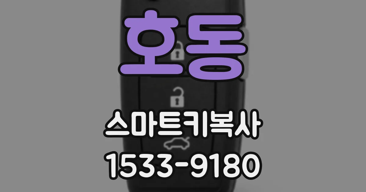 호동 스마트키복사