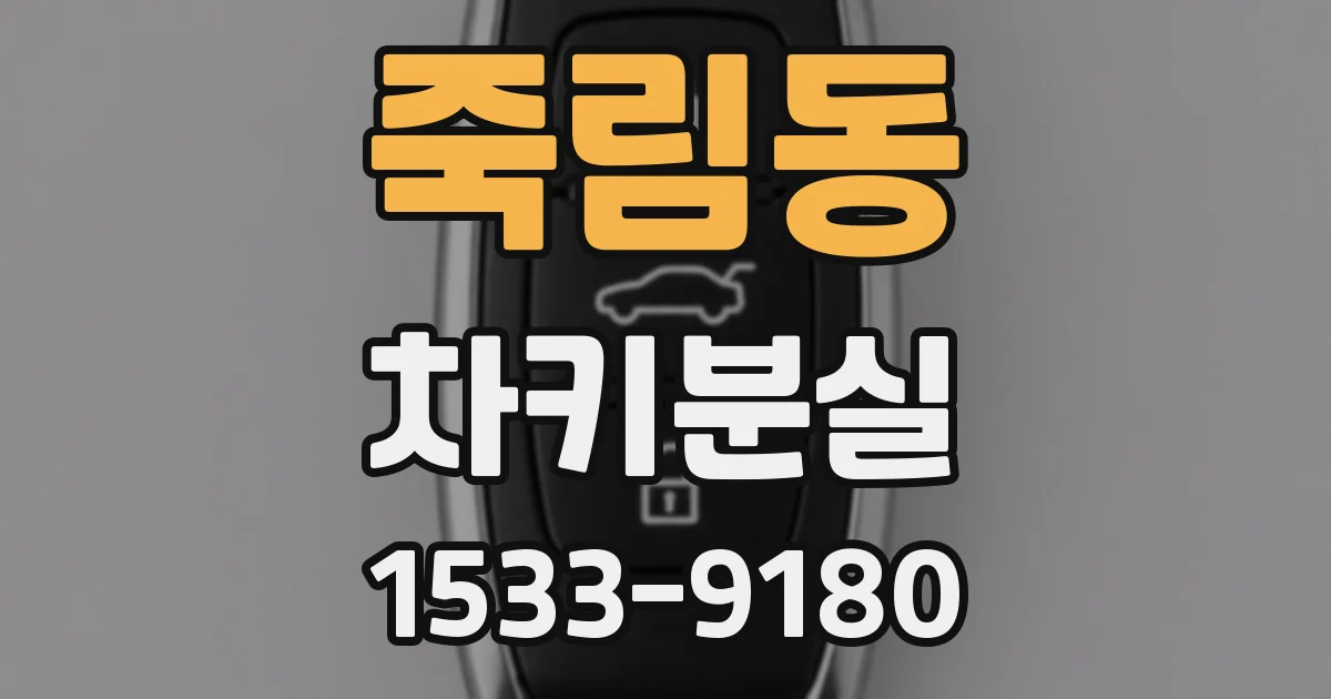 죽림동 차키분실