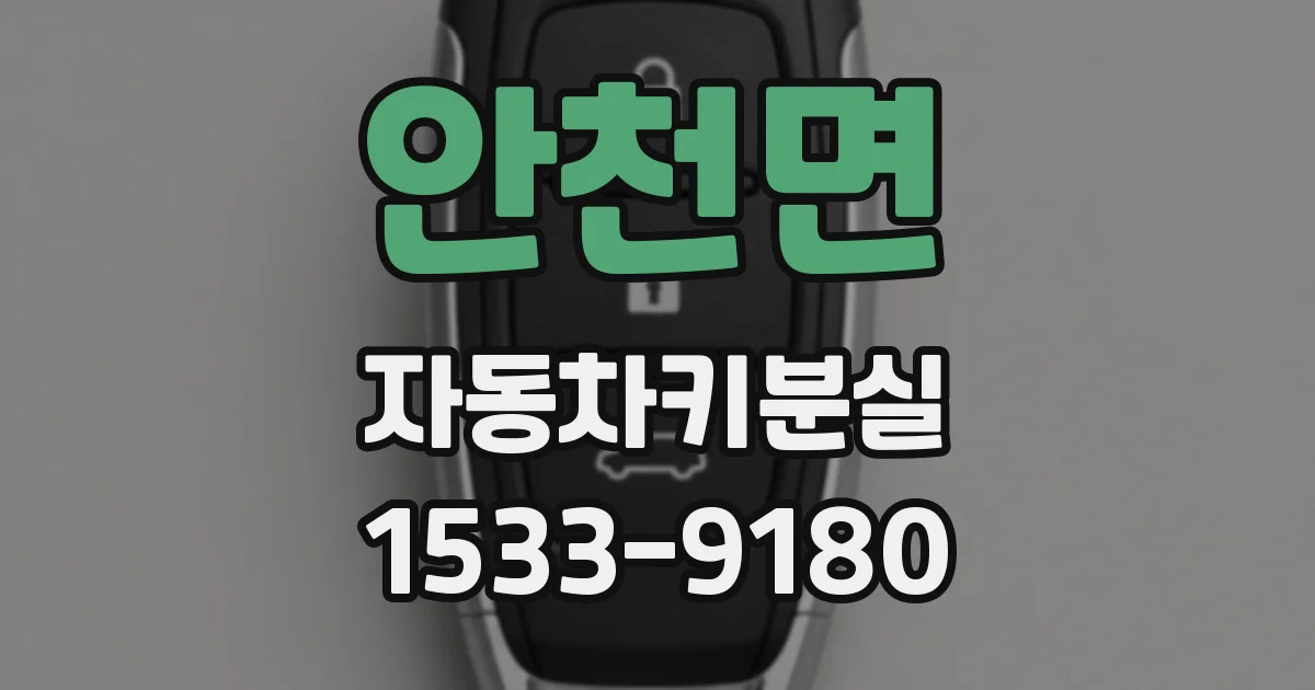 안천면 자동차키분실