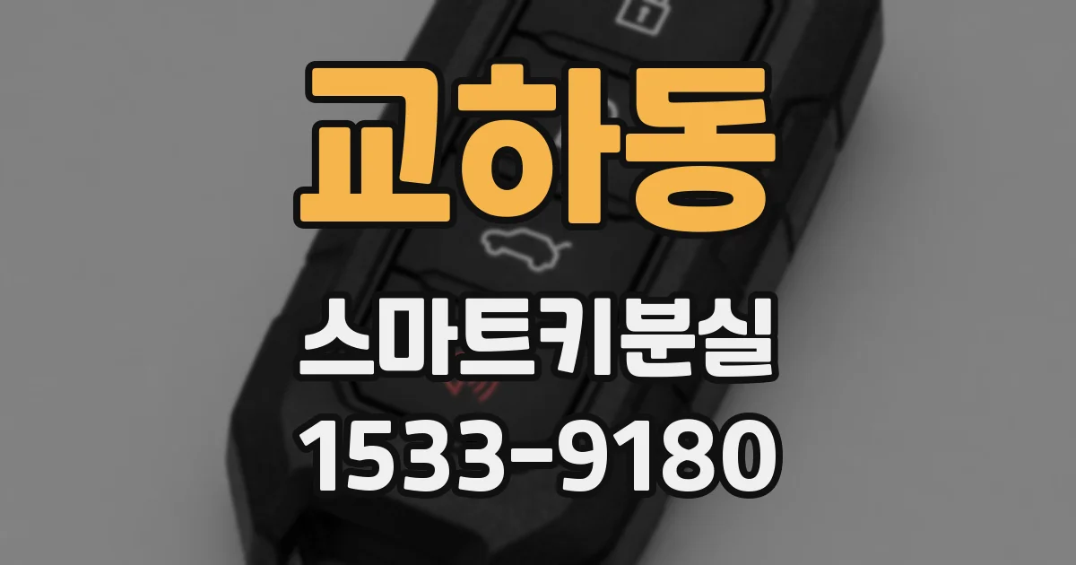 교하동 스마트키분실