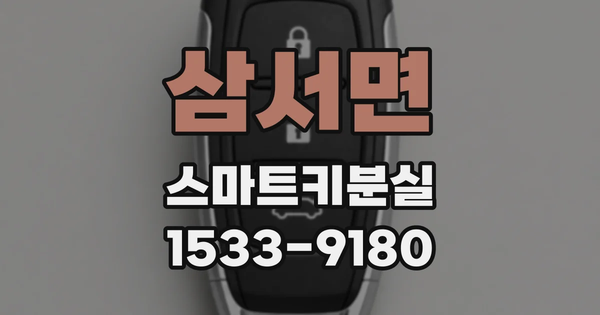삼서면 스마트키분실
