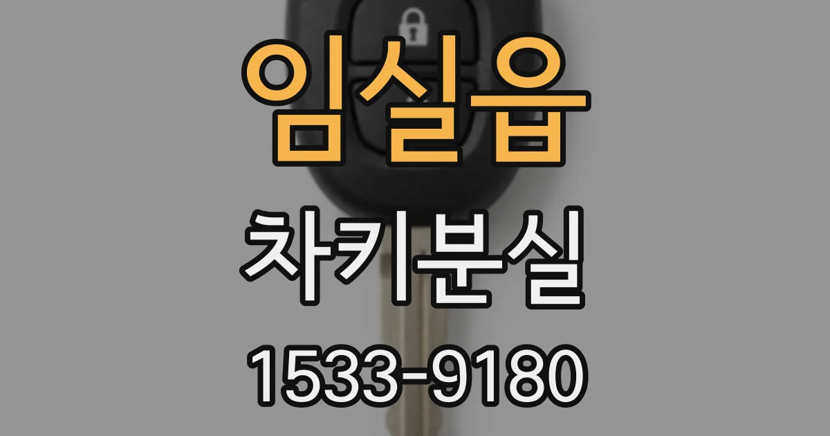 임실읍 차키분실