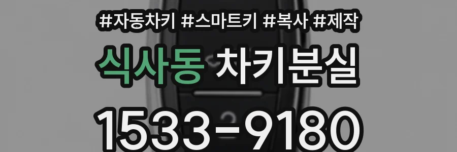 식사동 차키분실