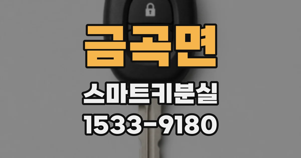 금곡면 스마트키분실