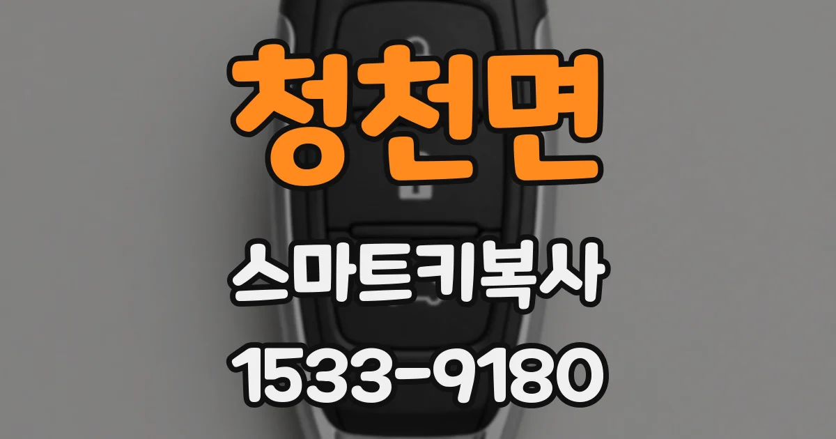 청천면 스마트키복사