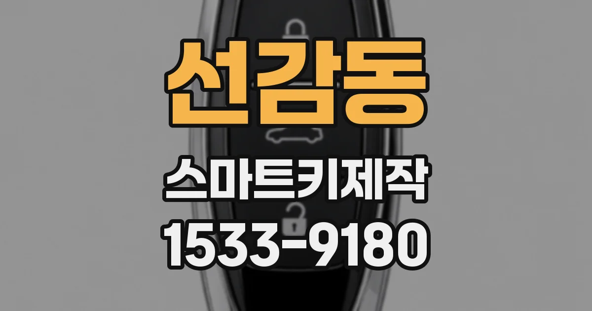 선감동 스마트키제작