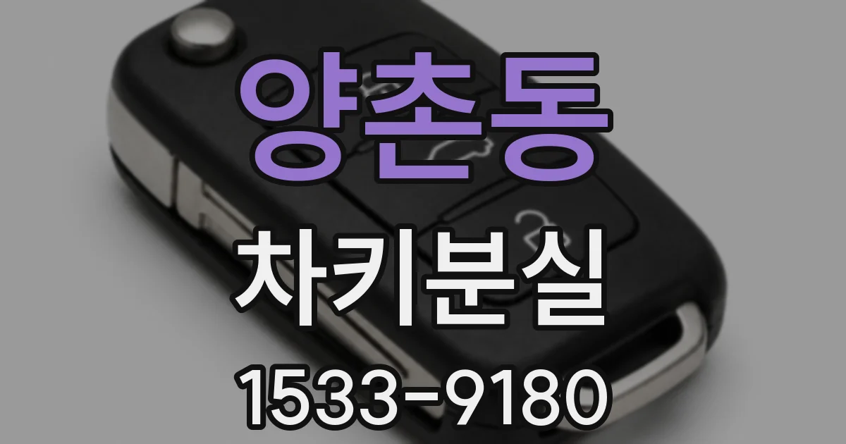 양촌동 차키분실